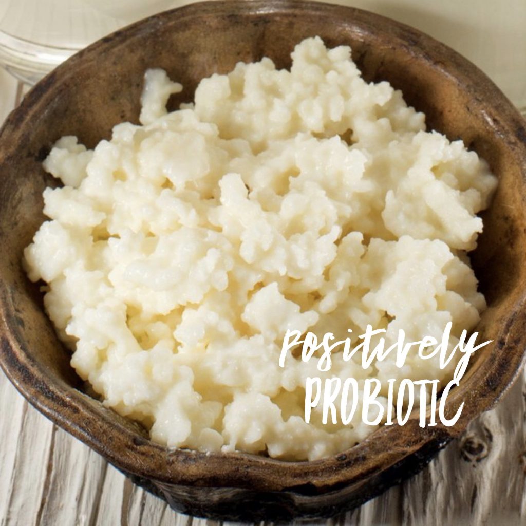 Kefir as probiotic