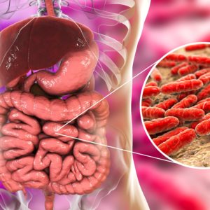 Gut bacteria helping immunity