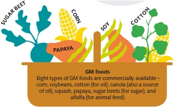 Genetically Modified Foods