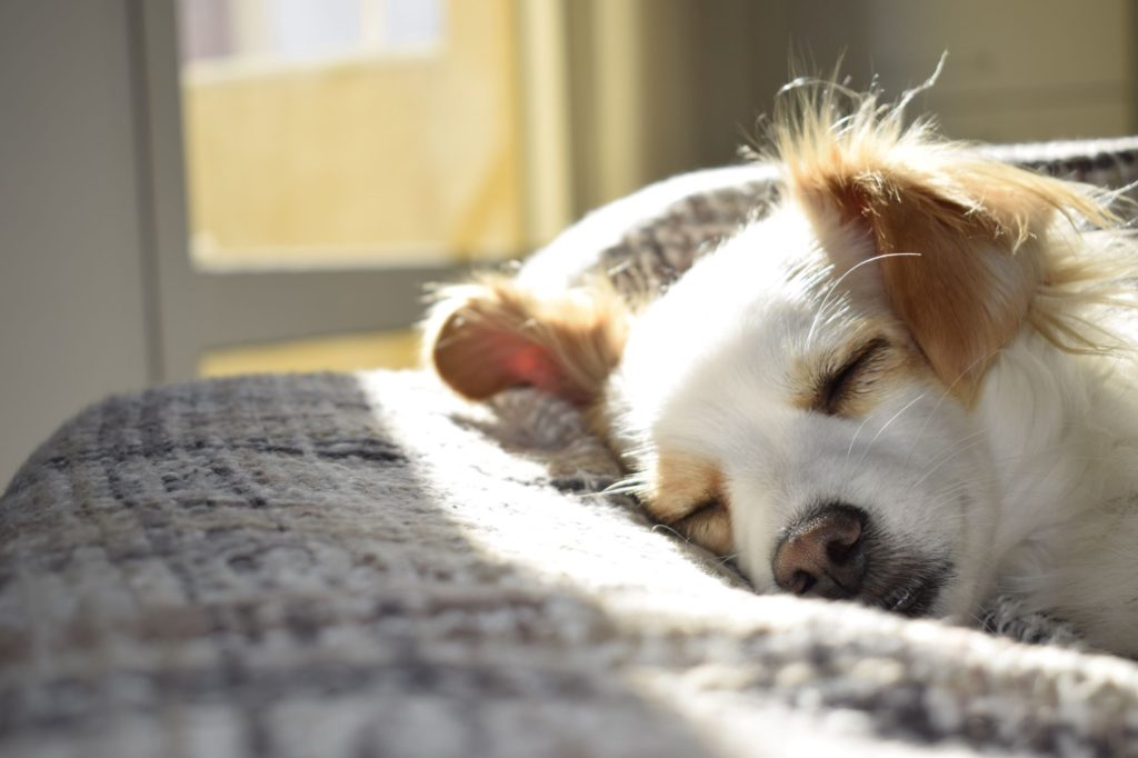 10 Tips for Healthy Sleep -A great way for productivity