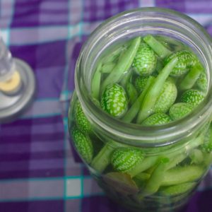 Principles of fermentation process