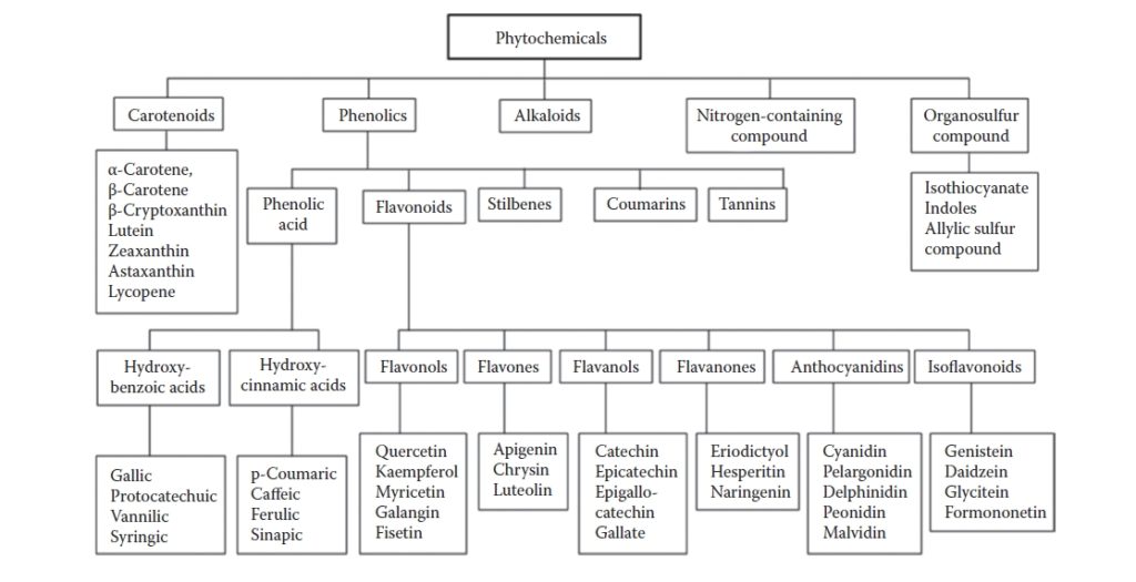 Classification pf phytochemicals