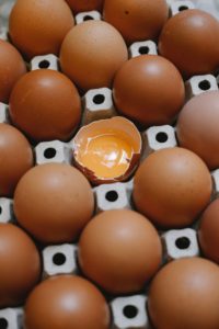 egg as proteins source